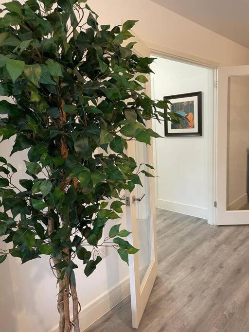 Stunning And Spacious 2Bed Flat In Central Woking Dış mekan fotoğraf
